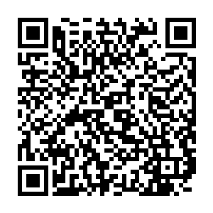 即使梅琳达和韦德肯定会将所有能够轻易到手的火凤凰之卵残片刮走二维码生成