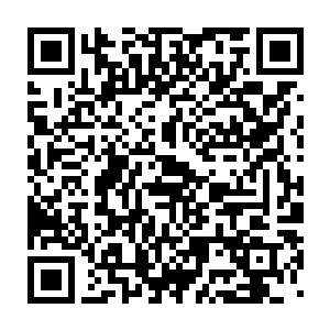 即使现在他们回到了君家……大家也更像是同一栋房子里的陌生人二维码生成
