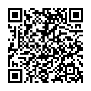 即使眼前每一件东西都是稀世珍宝也完全没有上前触碰的意思二维码生成