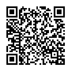 即使自己现在将所想的一切告诉东方浩然估计也起不到什么作用二维码生成