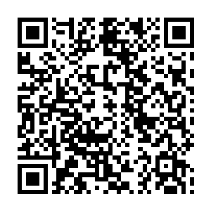 即使躺在床上抱着美人醉的分不清天南地北的墨景黎也本能的感觉到一丝寒意二维码生成