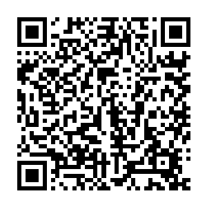 即使还有着极高的白冰壁也遮挡不住那仅仅能看到上部分的巨峰的模样~二维码生成