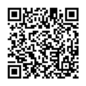 即使那个人伤害了你……我的意思是小小的攻击了你二维码生成