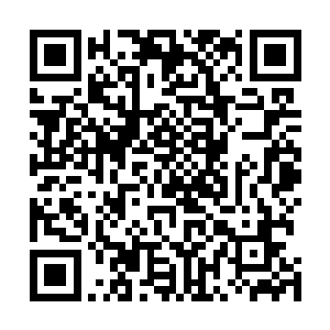 即便他现在只是一个在修士眼里跟废物没有两样的普通人二维码生成
