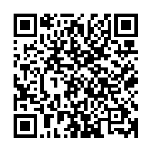 即便在和大量的白银鉄蚁交战的过程中也没有出现坍塌的迹象二维码生成