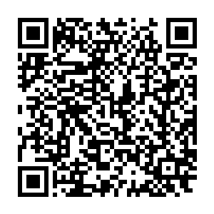 即便在完颜希尹面前曾完完全全尽量诚实地将小苍河的见闻说过一遍二维码生成