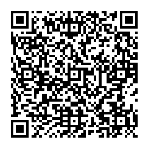 即便在祝南镇经济受到严重的下滑的这段时间里村民们的生活质量和收入也一点都没有受到影响二维码生成