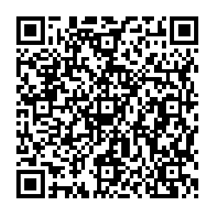 即便境界上全都是达到了大宗师级巅峰……但实际上彼此之间也还是存在着一定差别的二维码生成