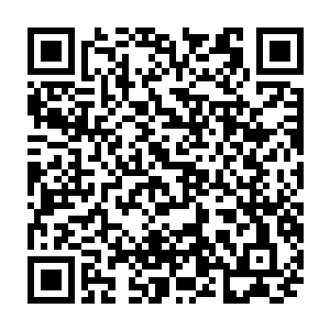 即便它微乎其微的能量根本不足以支撑哪怕一个等离子体细胞回到古巨星上二维码生成