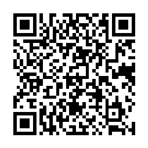 即便是一般的天武境界的武者只怕也不敢跟虎狮兽硬碰二维码生成