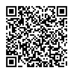 即便是三大巨头的客人来到新建的灵农宝宗也不得不羡慕灵农宝宗浓郁的灵气二维码生成