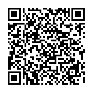 即便是之前的时候在玄黄宇宙见到的玄黄城和太玄城也无法跟眼前的圣龙城相比二维码生成