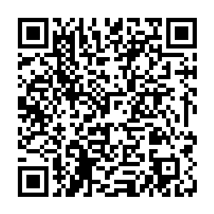即便是之前的时候自己受过的那些痛苦跟眼前的相比根本就不是一个档次的二维码生成