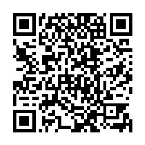 即便是冰原之上最强大的妖兽也不敢轻易的跟啸月狼皇作对二维码生成