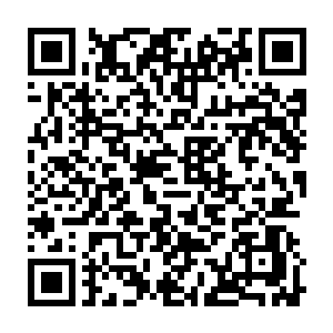 即便是吸血鬼亲王伊利亚也是忍不住暗暗点了点头的……这样恐怖的攻击力二维码生成