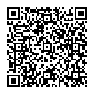 即便是在和张天豪关系很不错的情况下依然对自己的很多建议和提议给予了很大支持二维码生成