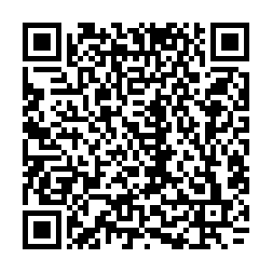 即便是当初的全盛时期的她全力一击也顶多只能够在上面留下一点印痕罢了二维码生成