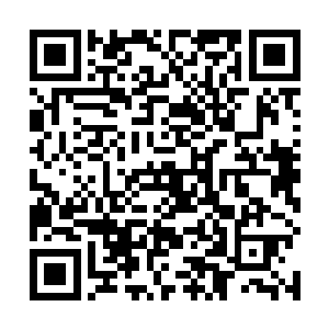 即便是得到了蛮荒圣殿也基本上不可能扛过刚才的攻击二维码生成