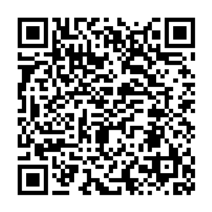 即便是林铭继承的两个神域大能记忆中的功法也没有敢夸此海口的二维码生成