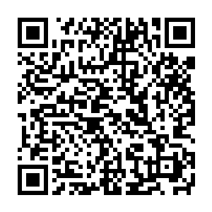 即便是混血的深渊屠戮者一般也都是以堕落天使一族的血脉为主的二维码生成