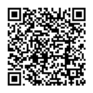 即便是秦渭导演率领黄金台剧组一行人亲自跑到咱们长安府做宣传二维码生成