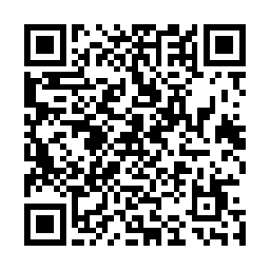 即便是蛮州境内的三大宗门也绝对不敢对蛮州城城主府放肆二维码生成