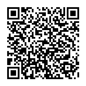 即便是金丹顶峰的修仙者在如此恐怖的能量的冲击之下也难逃爆体而亡的下场二维码生成