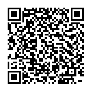 即便是鸿蒙至尊体不朽大日神体不朽仙体和第十二重剑魔形态同时施展二维码生成