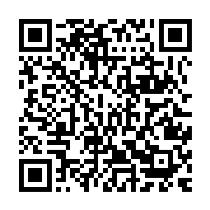 即便这个光头侏儒是轰出化神境界的无敌实力将三座炮台轰爆二维码生成