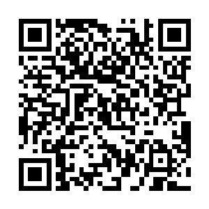 即刻纠缠之下硬是让他失去了这稍瞬即逝的猎杀好机会二维码生成