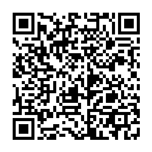 即将统治世界的王……这样的他又怎么会在意那些好像蝼蚁一般的人类的想法呢二维码生成