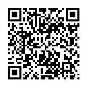 即然这样那你为什么还要把这部功法作为门派的修炼功法二维码生成