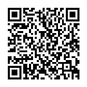 却不会在短短半年的时间里提升到比大乘后期实力还高的程度二维码生成