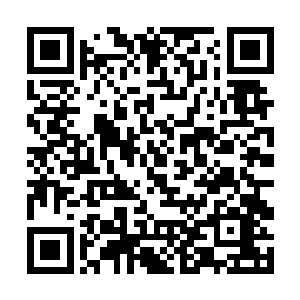 却不想最后被杨开用世界树的根须把星界给救回来了二维码生成