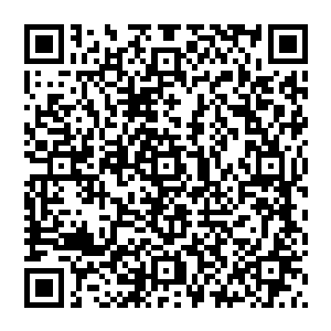 却也知道一个人如果被一次性的注射了十支镇静剂的话会有什么后果……恐怕就算是以他的身体素质二维码生成