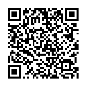 却又无所不在的气息在不断地侵蚀着他们的身体二维码生成