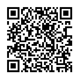 却又真实可见的世界画面也在不断的碰撞在衍生然后毁灭二维码生成