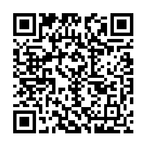 却因为通过登仙路之后是随机出现在伪仙界的缘故而分散二维码生成