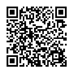 却因悟道期间产生的定神效果而被用来作为战斗法宝使用二维码生成