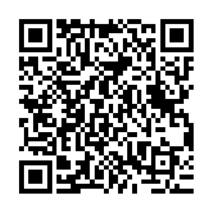 却在不经意间将自己最真实的想法和自己灵魂的模样传达了出来二维码生成