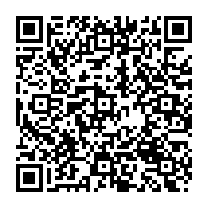 却在当前一片欢庆之中的氛围中捕捉到了一丝阴暗的……那是一种不甘心的失落怨毒二维码生成