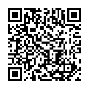 却在电影之中扮演一个在婚礼上遭受丧尸袭击的倒霉新娘二维码生成