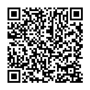 却多了几分同情――翡翠女王看来这次真的没带什么了不得的东西过来二维码生成