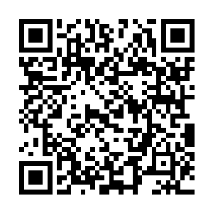却将主要的经历放到了新一代视窗操作系统VISTA的研究上二维码生成