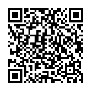 却带着老妻在田野上耕耘的模样我到现在都没有办法忘掉二维码生成