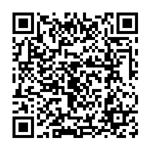 却并没有多么强横的杀机……似乎真的只是以切磋的名义动手似的二维码生成