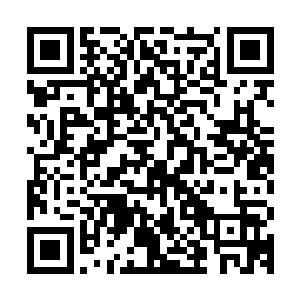 却故意的放走了外公的侧室和护卫……只留下了我们两姐妹……二维码生成