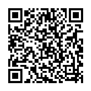 却是发现一脸笑眯眯的流墨墨和周围扑哧一片的众宠二维码生成