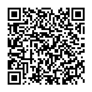 却是对于当时还比较弱小的她却无法辨出的吸引到底是什么的执念罢了二维码生成