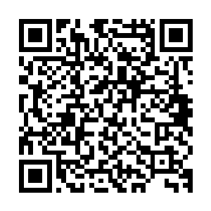 却是忘记了解药是夜染连续流了二十分钟的血之后连夜去寻找的二维码生成